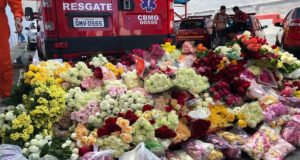 式典には多くの人々が花を手向けた（Ana Graziela Aguitar/TV Brasil）