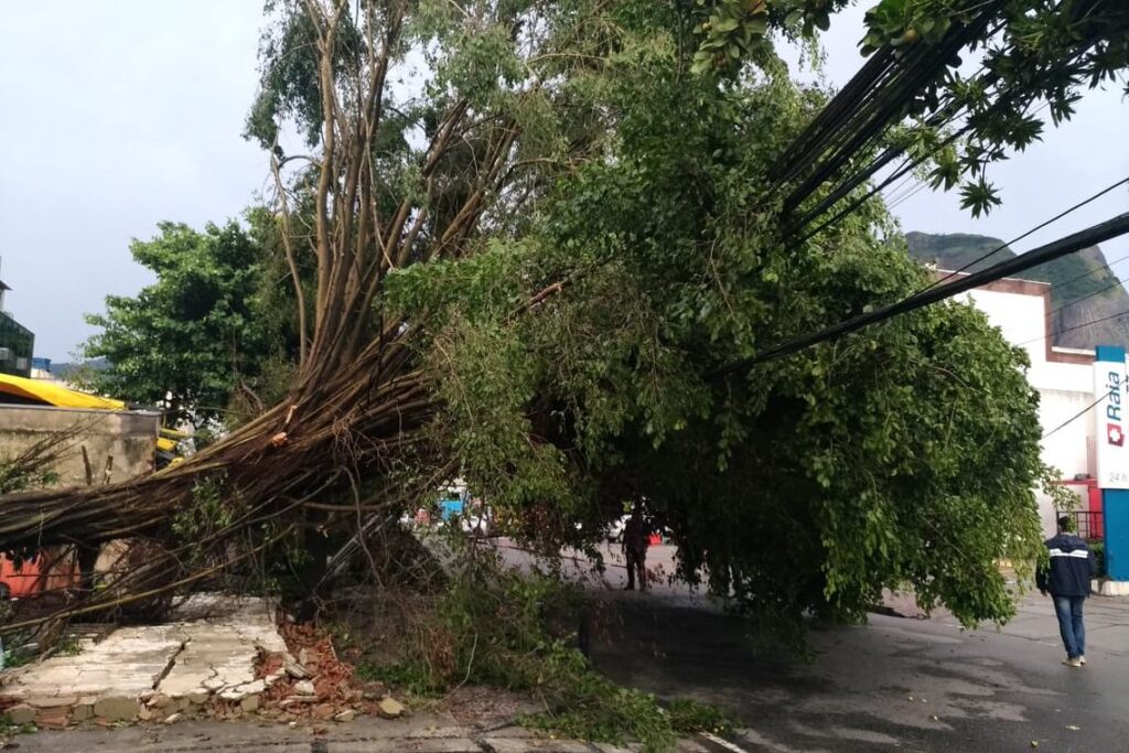 大雨と突風により市内１２０カ所以上で木が倒れ、交通遮断、停電を引き起こした（Fernando Frazao/Ag. Brasil）