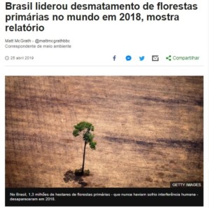 原生林伐採面積はブラジルがトップだったと報じた４月２５日付Ｇ１サイトの記事の一部
