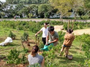 グァラピランガ（サンパウロ市）にマナカの苗木を植える第２４回環境法会議の参加者たち