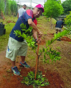 植樹をする高木オズワルド氏(Facebook/Massayoshi Marli Furuno)