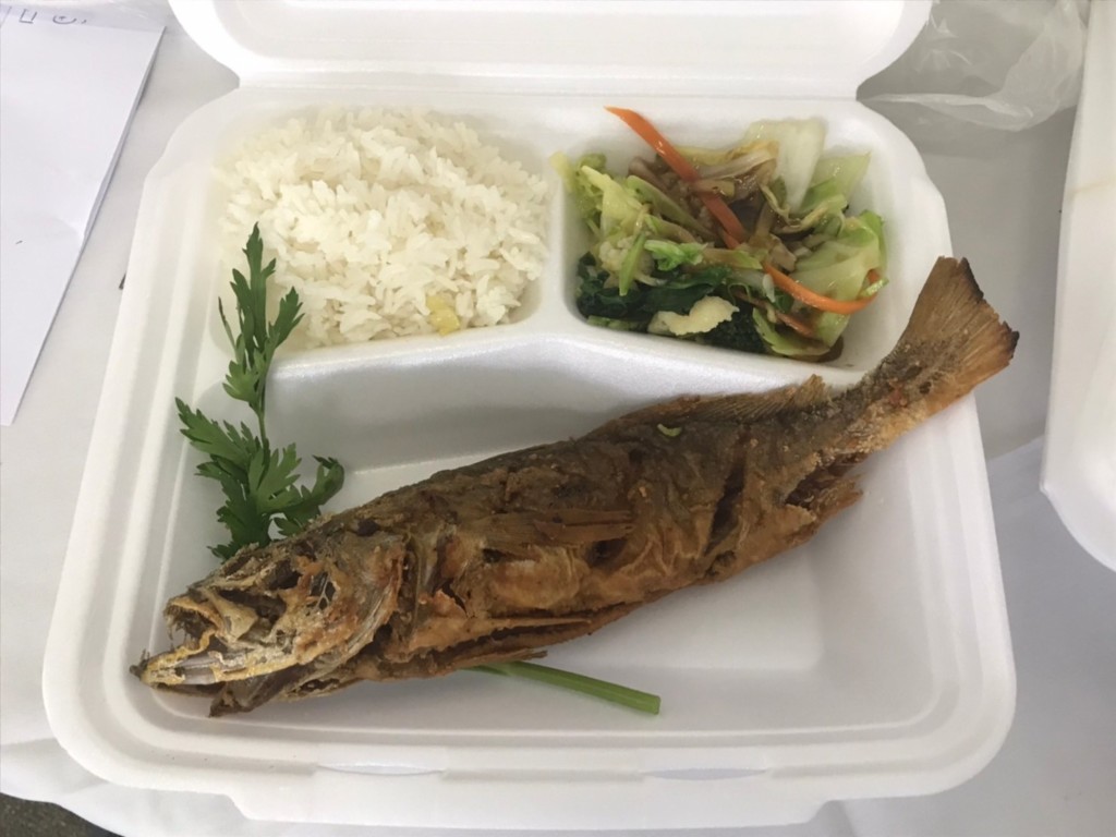 揚げ魚弁当