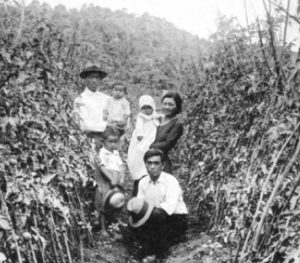 モジの日本人農家（『在伯同胞活動実況写真帳』（１９３８年、竹下写真館 高知県古市町）