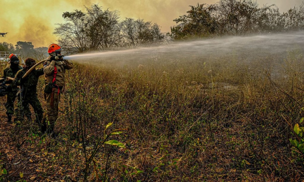 ブラジル 環境相がパンタナルの火災現場を再視察 ジャガー生息地の州立公園は８５ 焼失 ブラジル知るならニッケイ新聞web