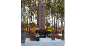 アルヴァレス・マシャード日本人墓地にある星名の墓