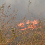 ９月１６日の火事現場