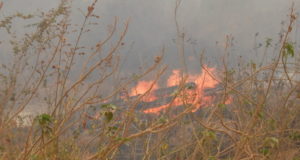 ９月１６日の火事現場