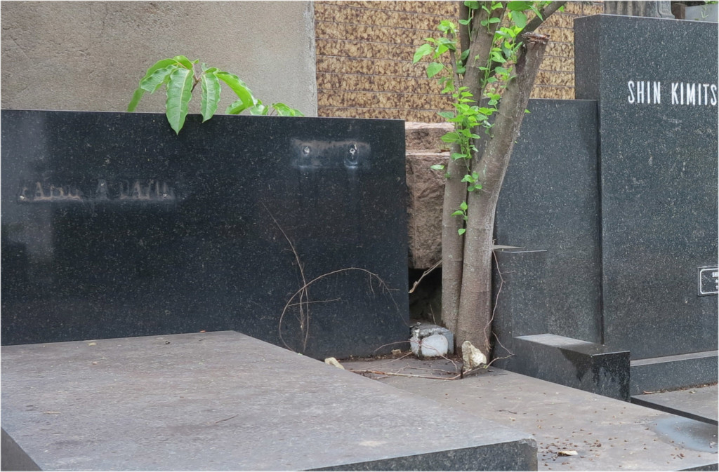 刻字板が盗り去られてしまった君塚大使の左横の墓