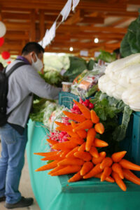 新鮮な野菜が安く販売され、たくさん買っていく人も