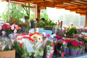 様々な花の鉢植えも販売された